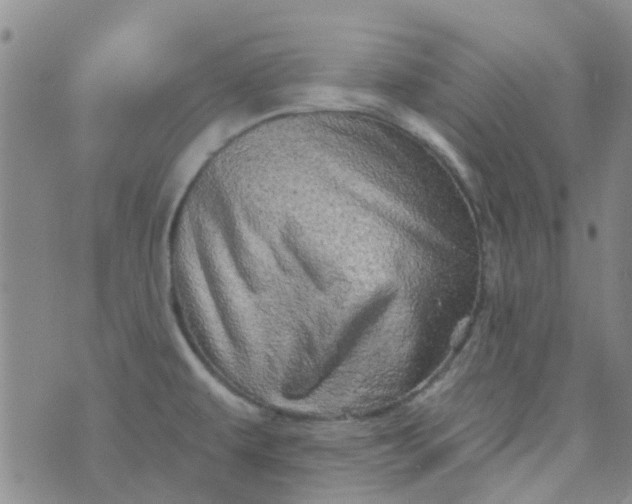 X0000070421479200606231841