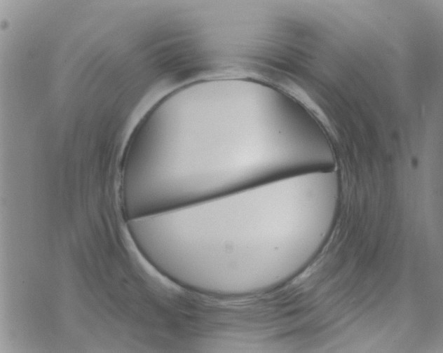 X0000070421484200606231840