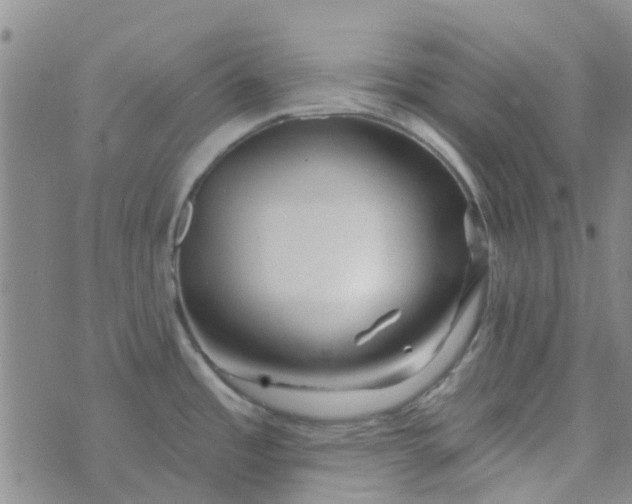 X0000070421485200606231840