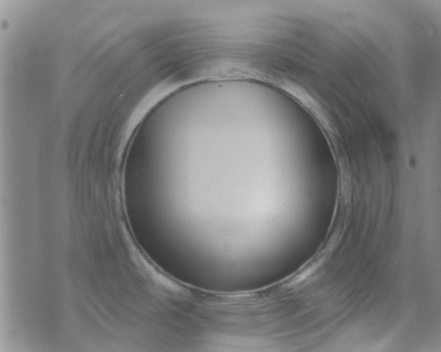 X0000070421486200606231840