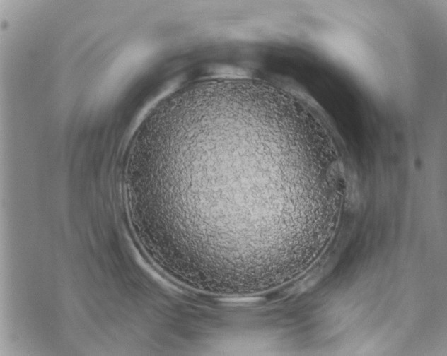 X0000070421487200606231840