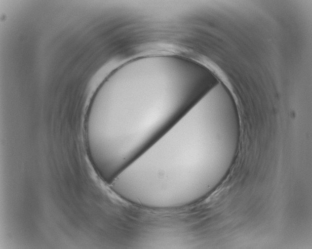 X0000070421488200606231840