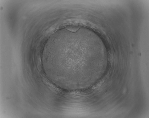 X0000070421489200606231840