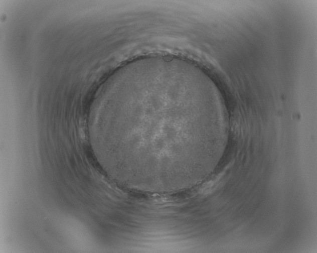 X0000070421490200606231840