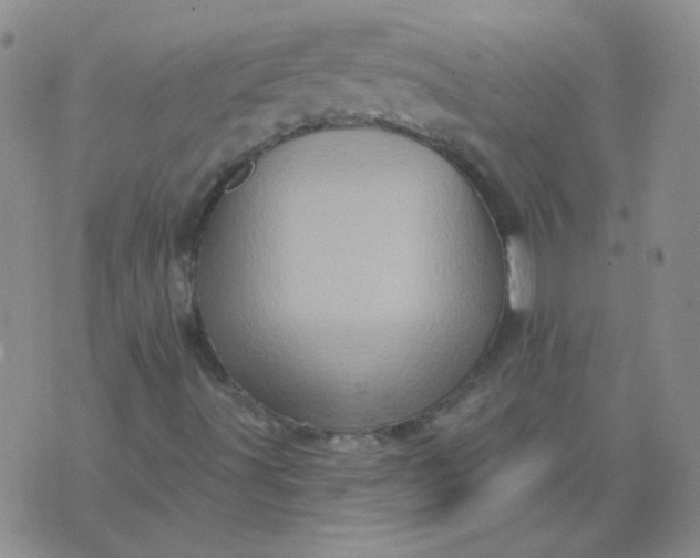 X0000070421491200606231840