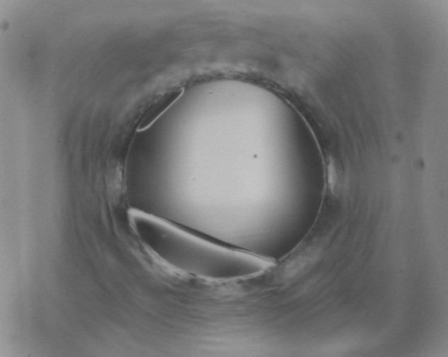 X0000070421492200606231840