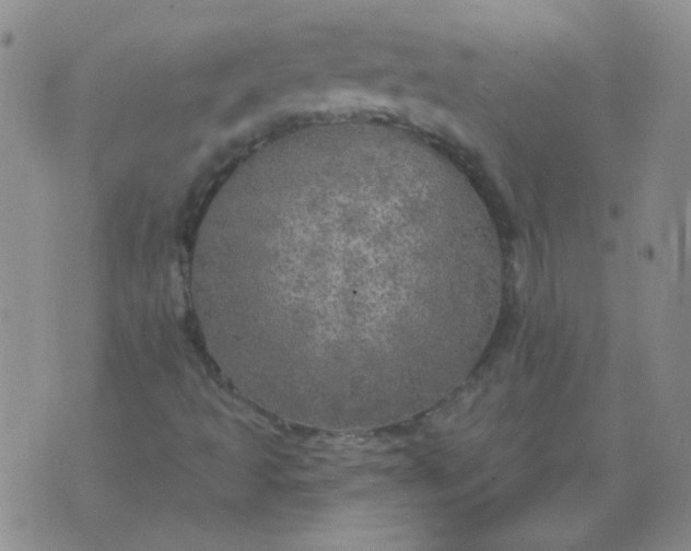 X0000070421493200606231840