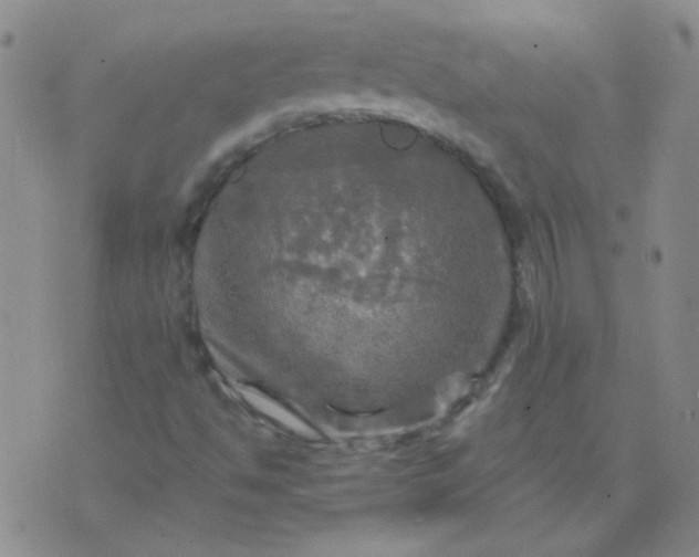 X0000070421494200606231840