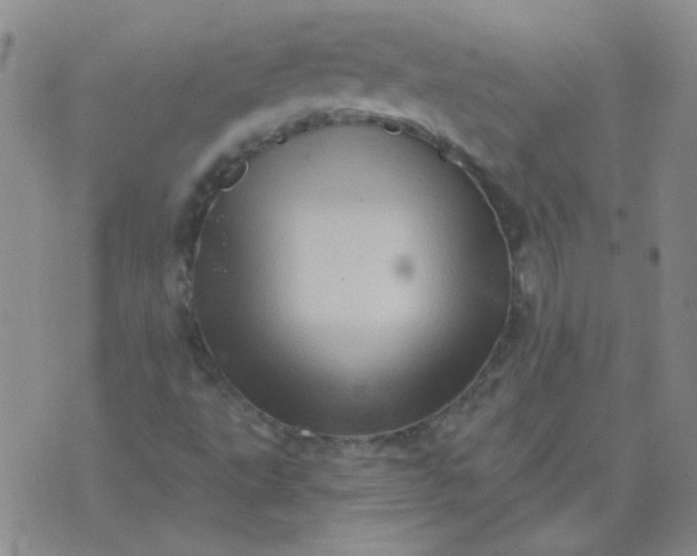 X0000070421495200606231840