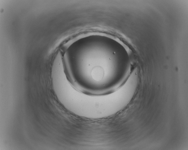 X0000070421496200606231840