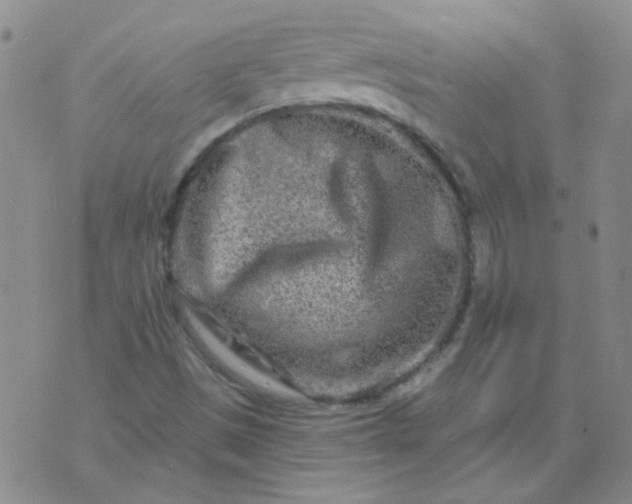 X0000070421497200606231840