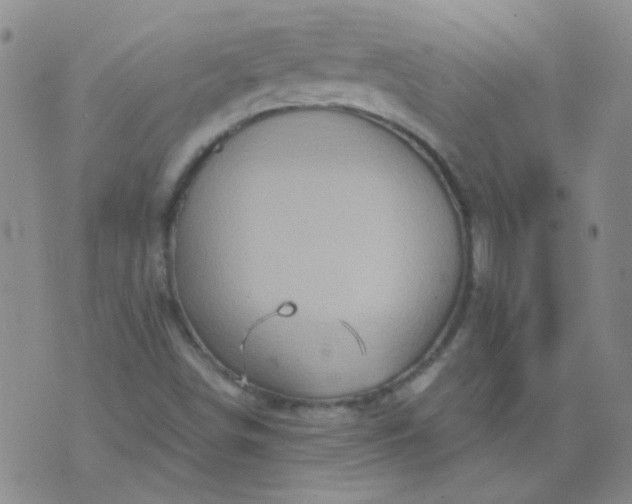 X0000070421498200606231840