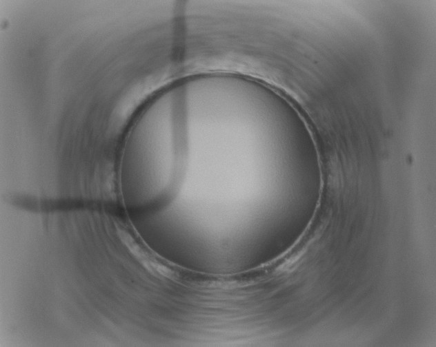 X0000070421499200606231840