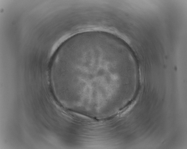 X0000070421501200606231840