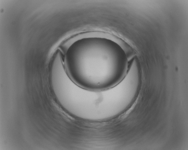 X0000070421502200606231840