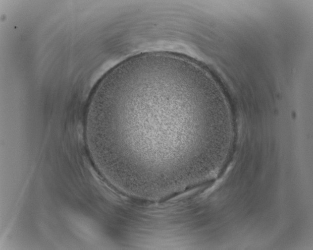 X0000070421505200606231840