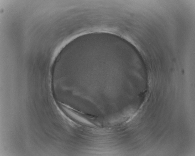 X0000070421508200606231840