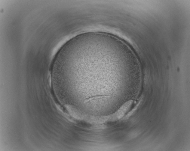 X0000070421509200606231840