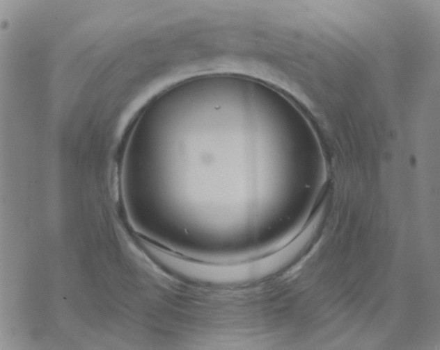 X0000070421510200606231840