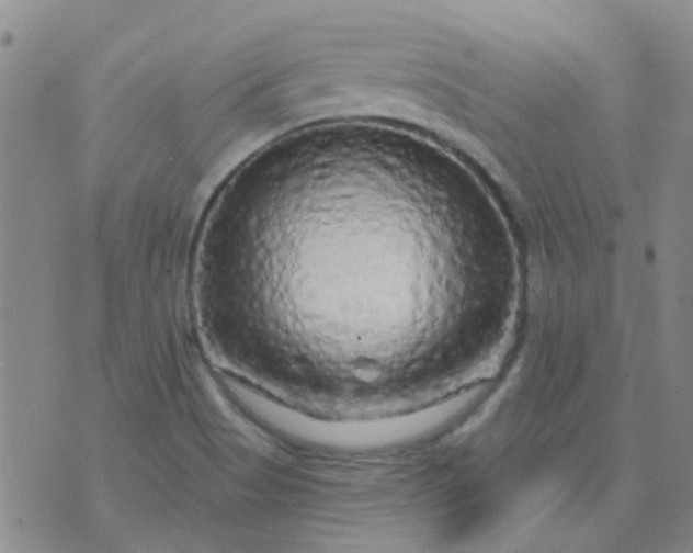 X0000070421513200606231840