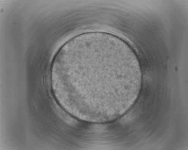 X0000070421514200606231840