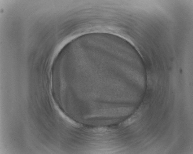 X0000070421515200606231840