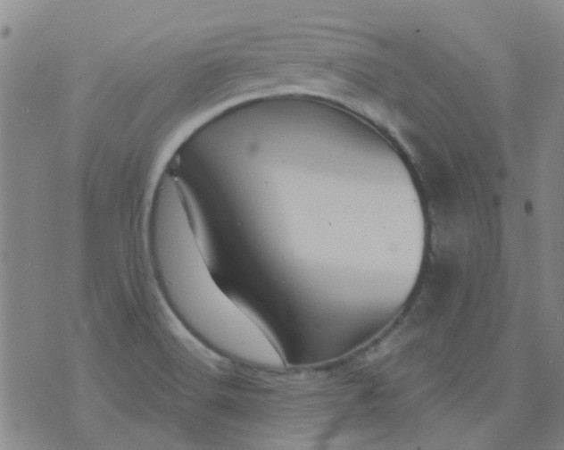 X0000070421516200606231840