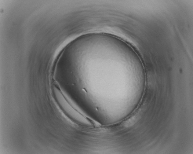 X0000070421517200606231840