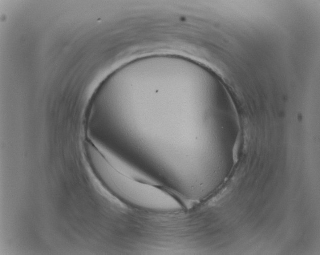 X0000070421518200606231840