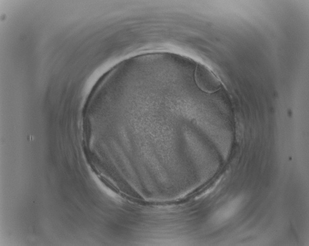 X0000070421519200606231840