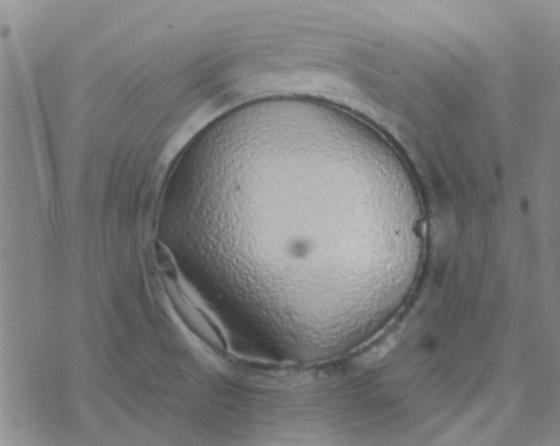 X0000070421521200606231840