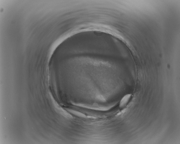 X0000070421522200606231840