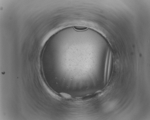 X0000070421523200606231840