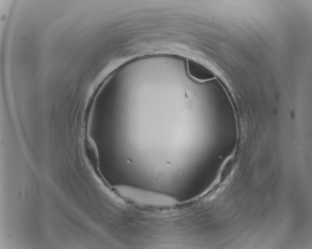 X0000070421525200606231840