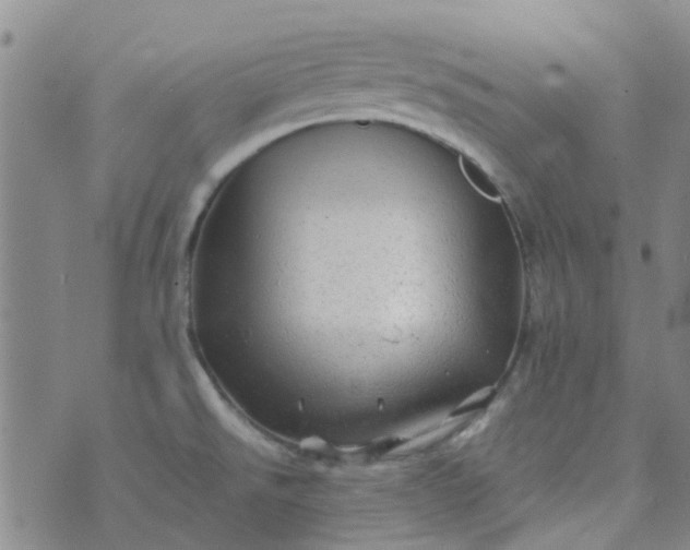 X0000070421526200606231840