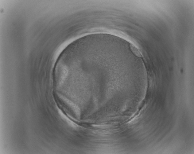 X0000070421527200606231840