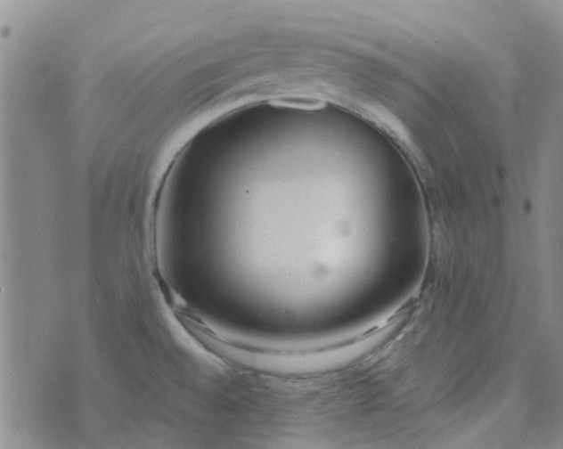 X0000070421528200606231840