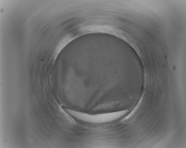 X0000070421529200606231840