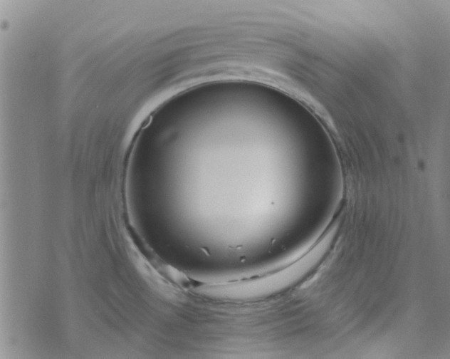 X0000070421530200606231840