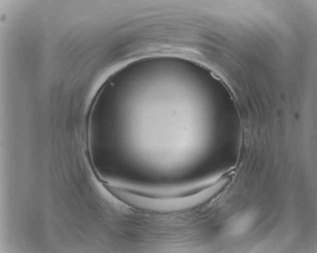 X0000070421531200606231840