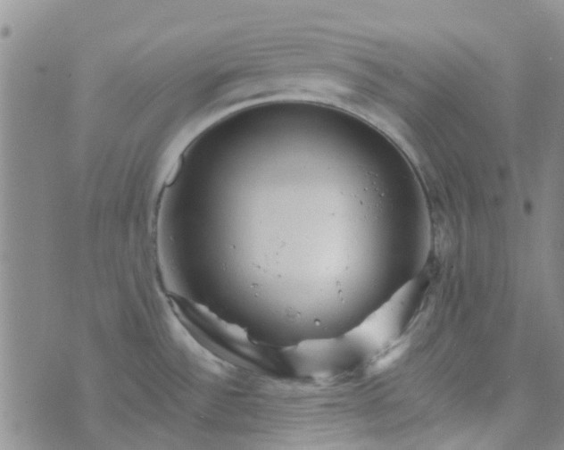 X0000070421532200606231840