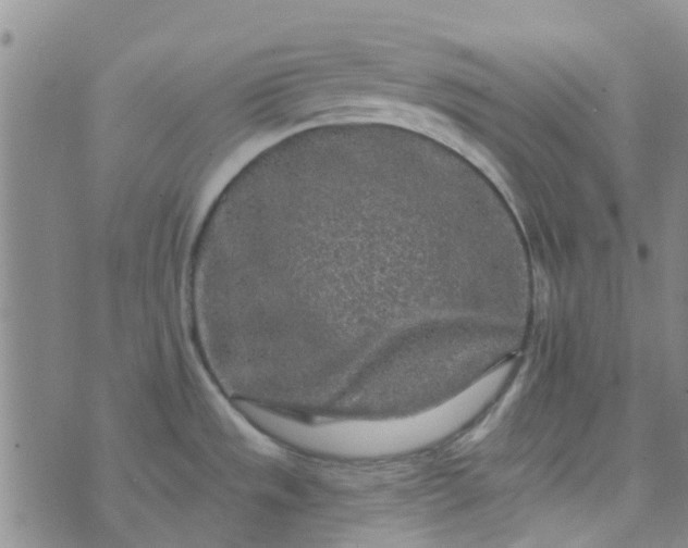 X0000070421533200606231840