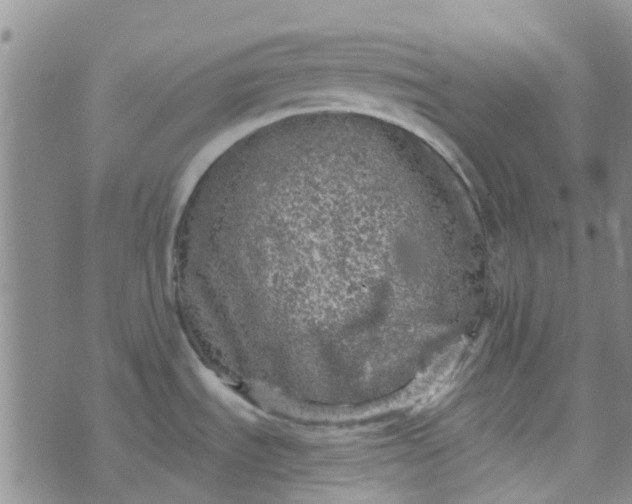 X0000070421535200606231840