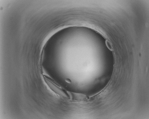 X0000070421536200606231840