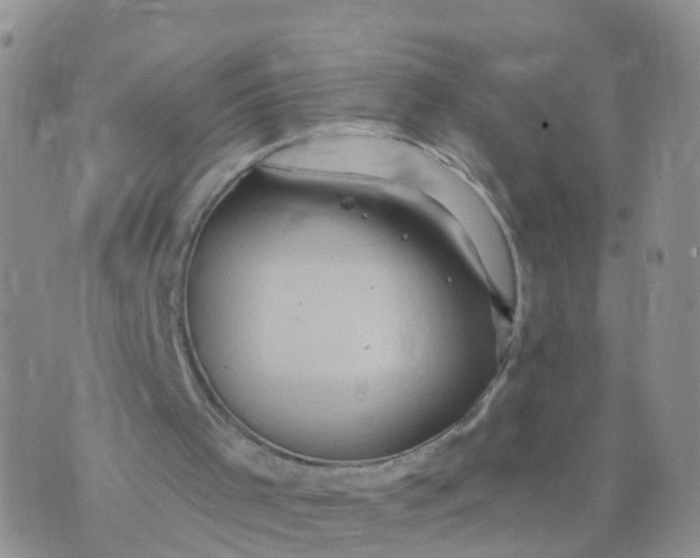 X0000070420001200606302113