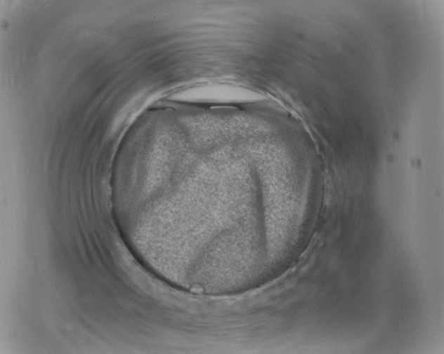 X0000070420002200606302113