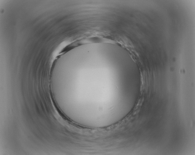 X0000070420003200606302113