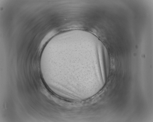 X0000070420004200606302113