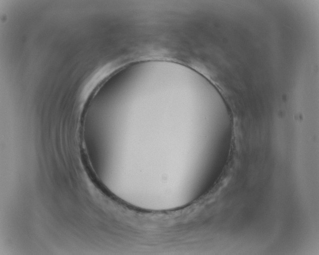 X0000070420007200606302113