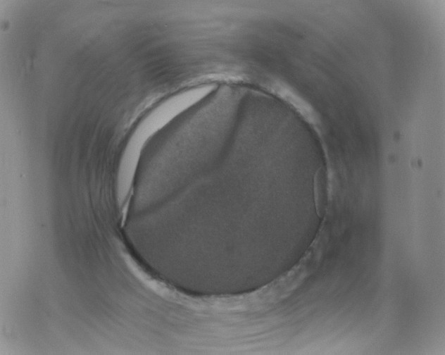 X0000070420009200606302113